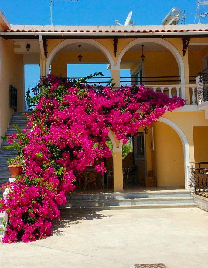 Zante 523 Aparthotel Λαγανάς Εξωτερικό φωτογραφία